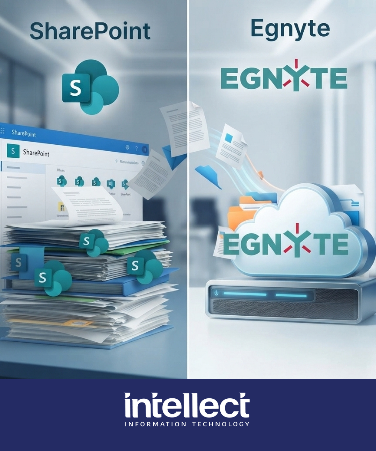 Egnyte vs SharePoint File Management